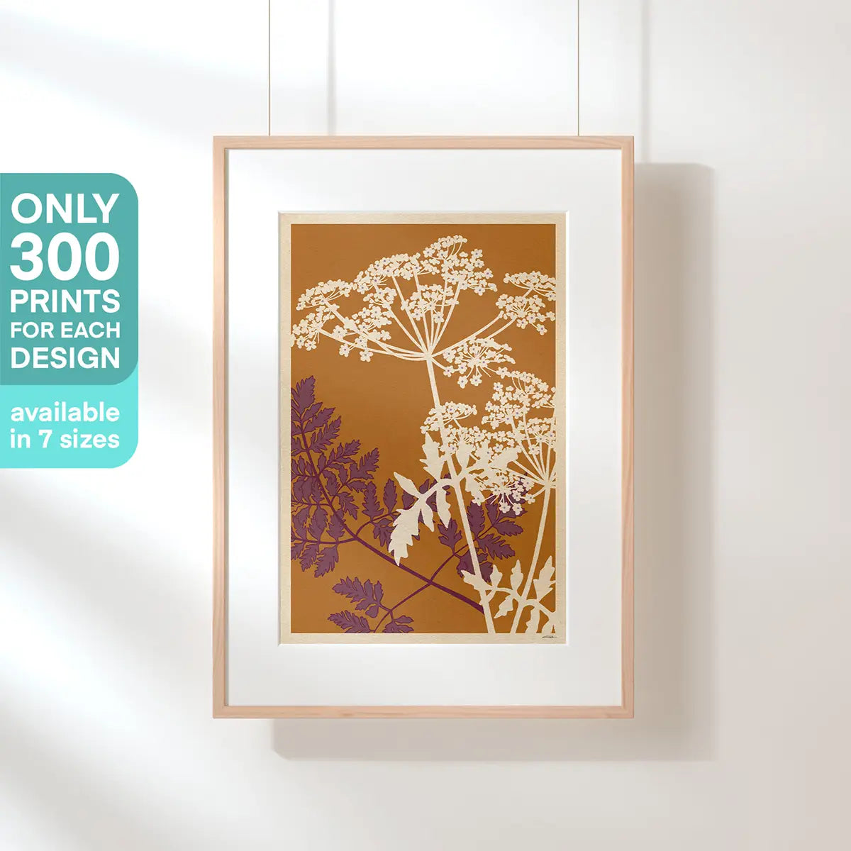 Poster Fiori di Cicuta - Stampa Artistica Botanica Conium Maculatum di Cha