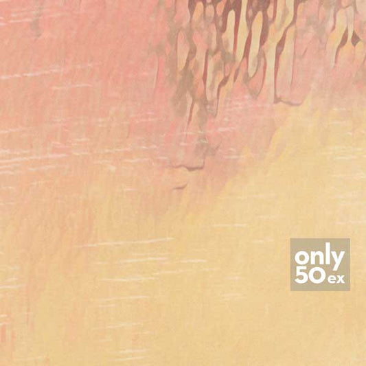 Details of the Mentawai poster by Alecse