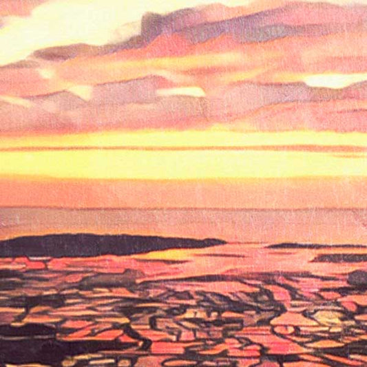 Close-up on Guerande Salt Marshes at Sunset