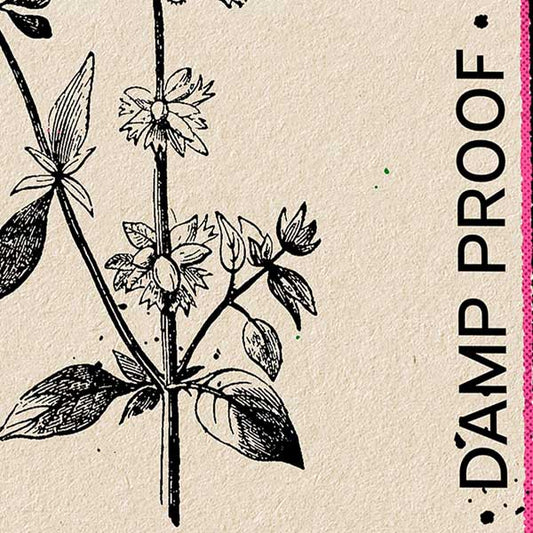 Basilicum Kruiden Poster