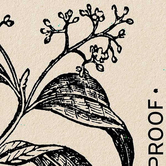 Cinnamon Spice Poster