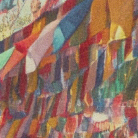 Details of the Darjeeling poster by Alecse