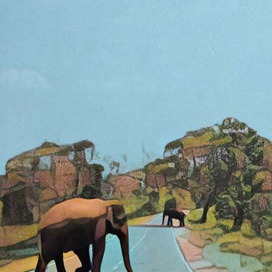 Sri Lanka Poster Yala Park Elephants