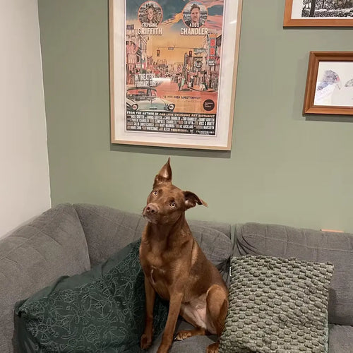 Commissioned poster by Alecse in a real setting, printed and framed, showing the final result of a custom-made project.