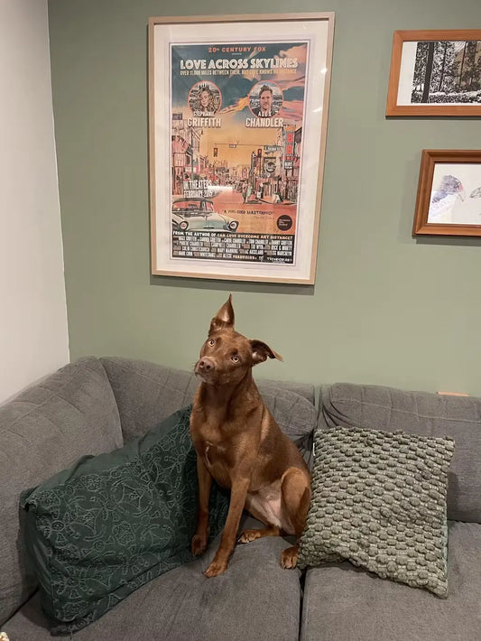 Commissioned poster by Alecse in a real setting, printed and framed, showing the final result of a custom-made project.