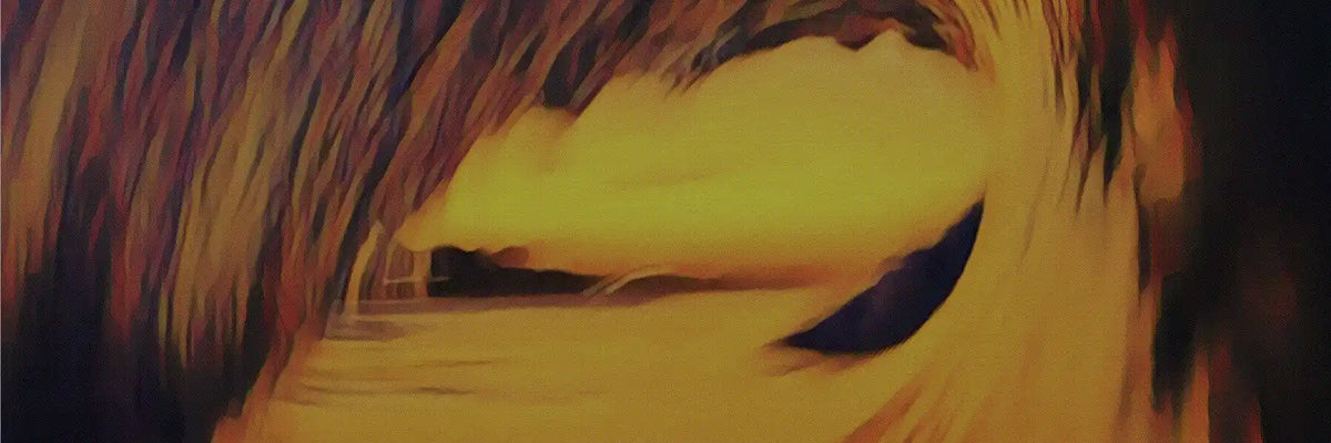 INDONESIA SURF POSTERS