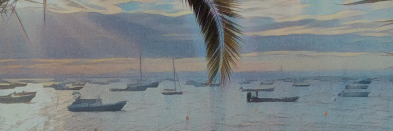 Detail from the vintage-style poster “L’Herbe Cap Ferret”, showing boats anchored on calm water at sunset with a palm leaf in the foreground, part of MyRetroposter’s Nautical Poster Series.