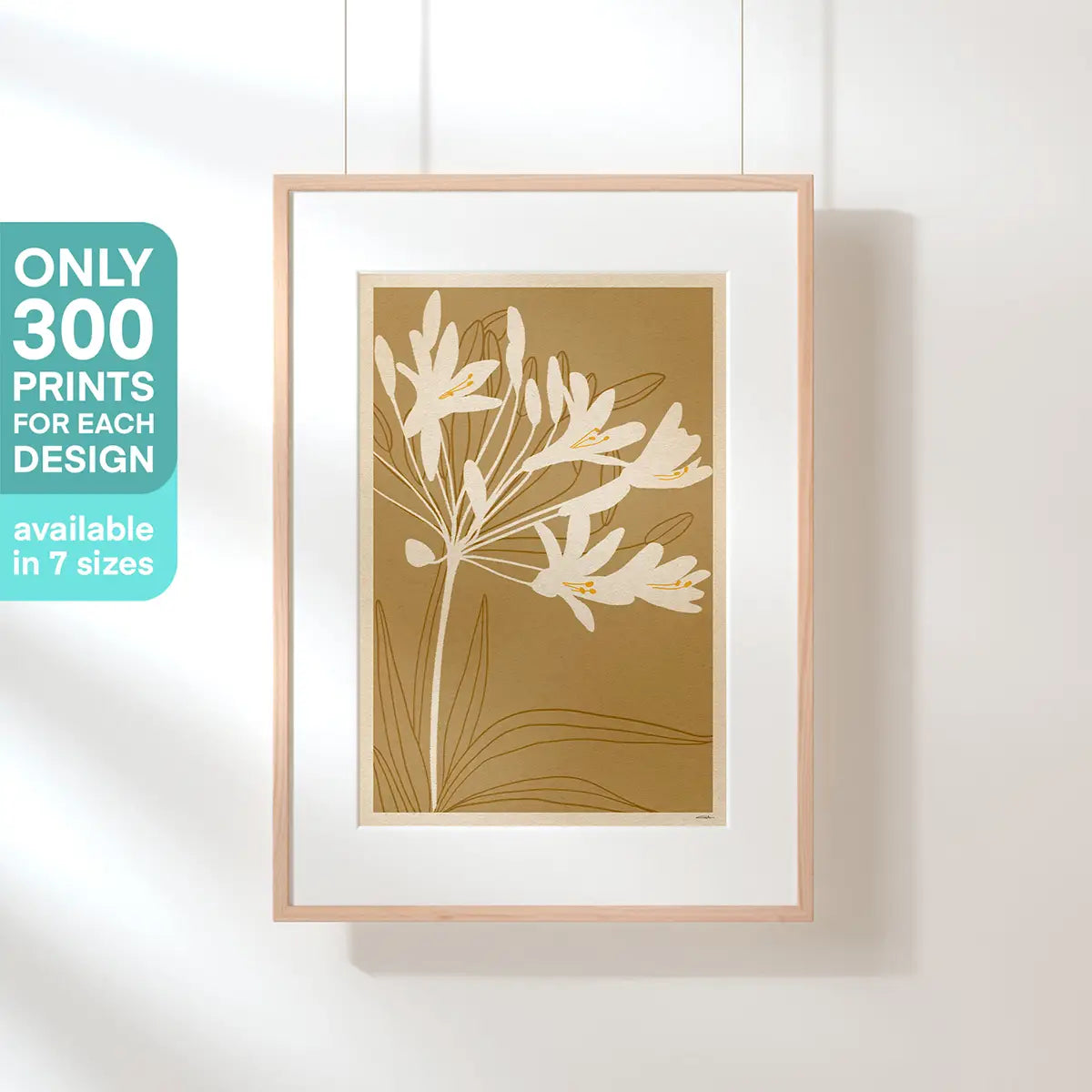 agapanthus flower poster agapanthus africanus framed wall art warm ochre background white floral silhouettes limited edition 300 prints