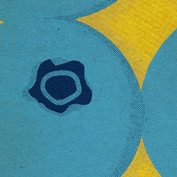 Blueberries Flashcard