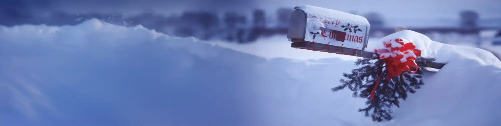 DATES LIMITE DE NOËL