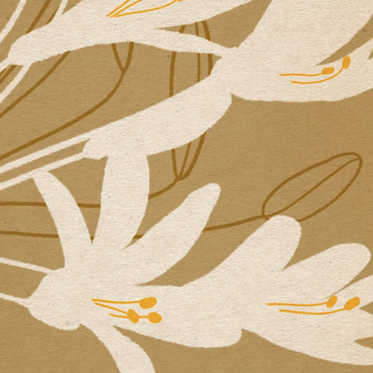 agapanthus flower poster detail showing white petals and yellow stamens minimal botanical composition textured fine art paper