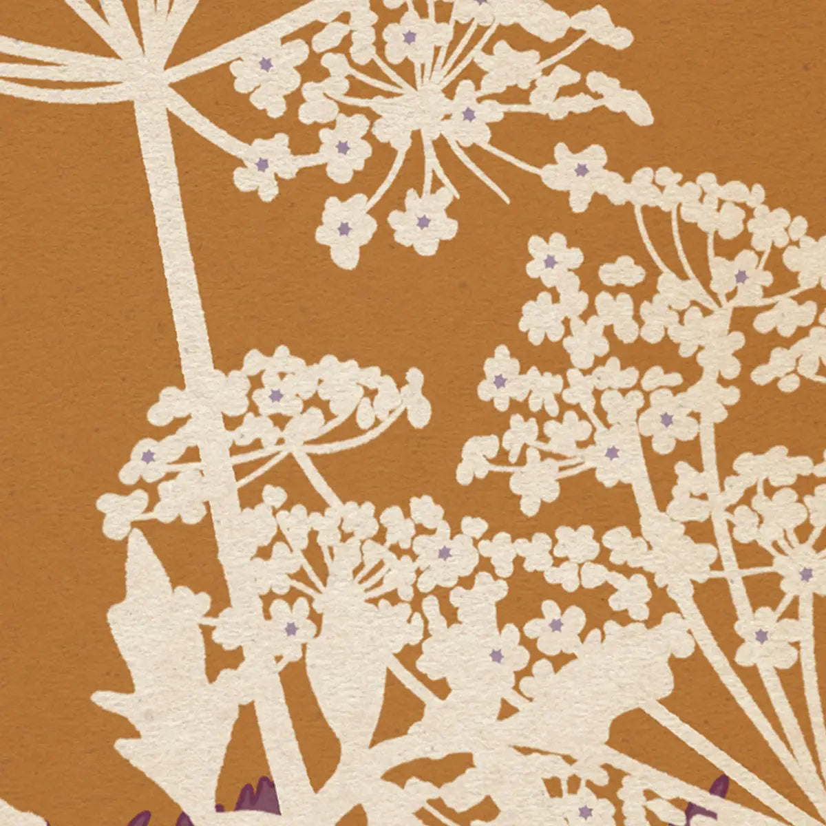 hemlock flower poster detail showing delicate white umbel flowers minimal botanical composition textured paper effect