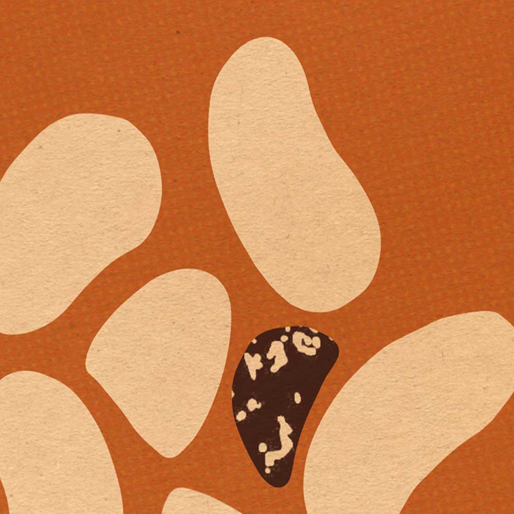 Intricate Details of Spanish Culinary Illustration - Fabada Asturiana"