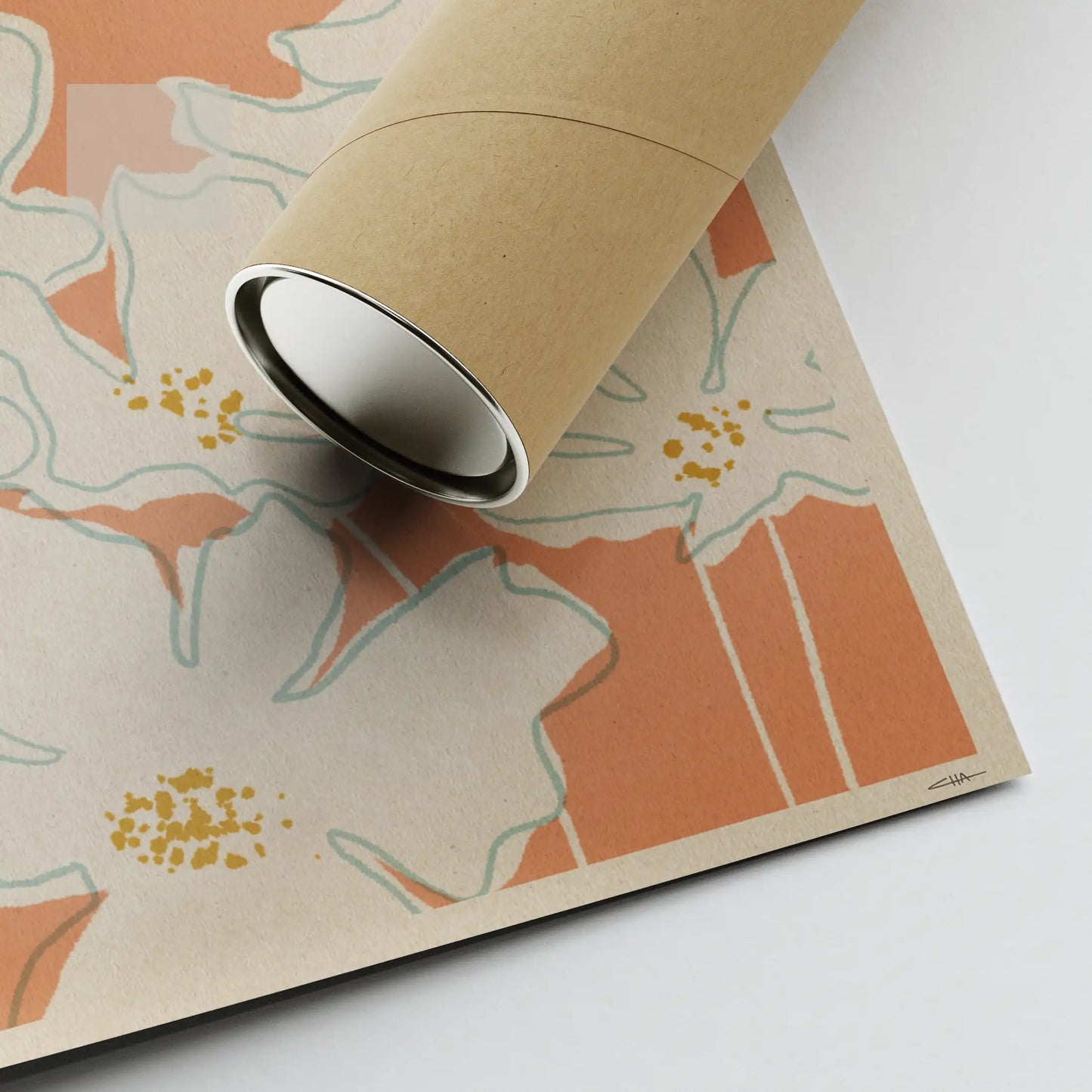 cosmos poster cosmos bipinnatus close up showing artist signature and eco friendly shipping tube on textured fine art paper