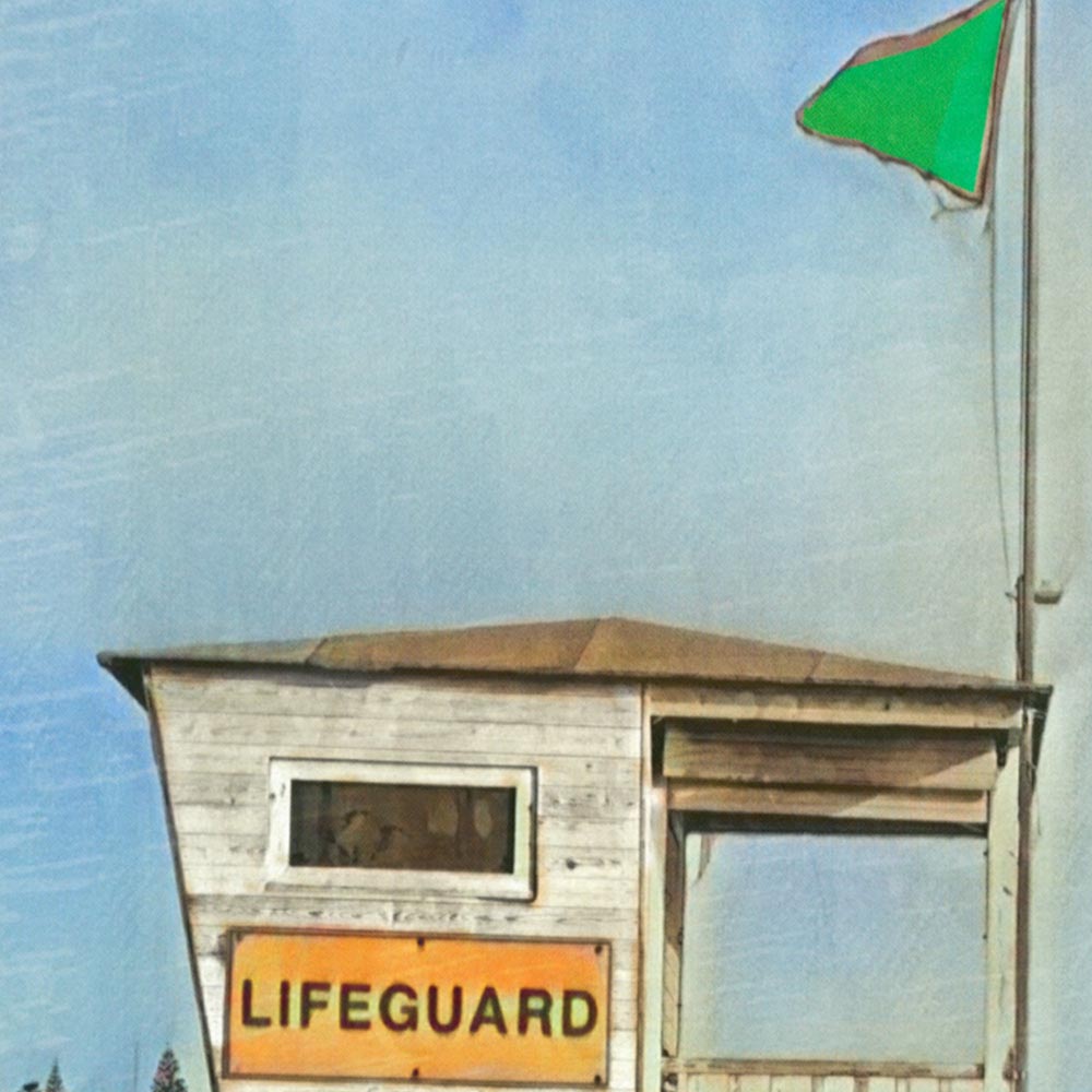 Macro shot of the print’s halftone texture, showcasing Alecse’s signature retro rendering style