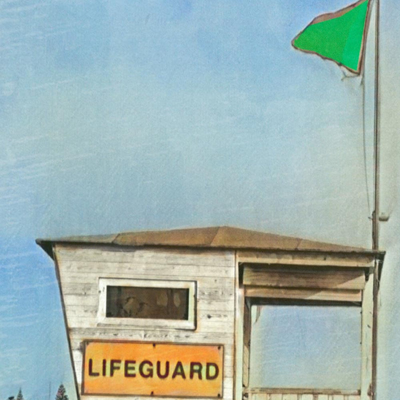 Macro shot of the print’s halftone texture, showcasing Alecse’s signature retro rendering style