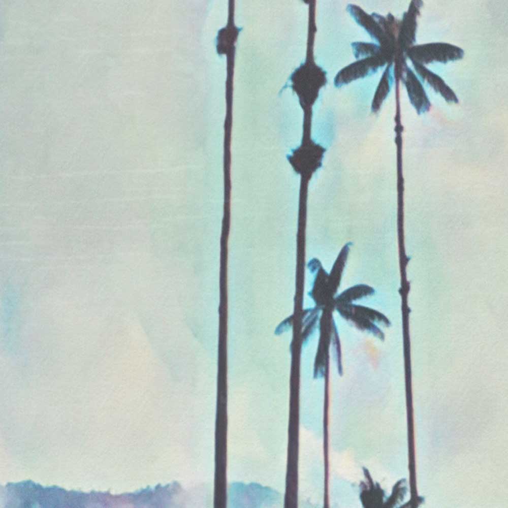 Close-Up of Cocora Valley Poster - Alecse's Soft Focus Palm Trees Artwork