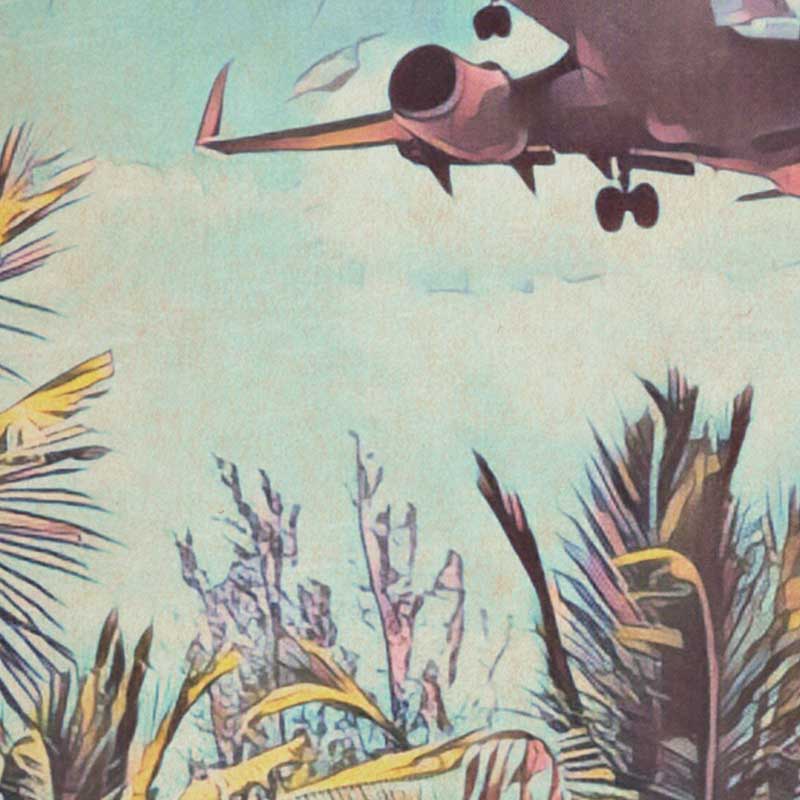 Détails de l'affiche DC-10 Party Animals d'Ibiza par Alecse