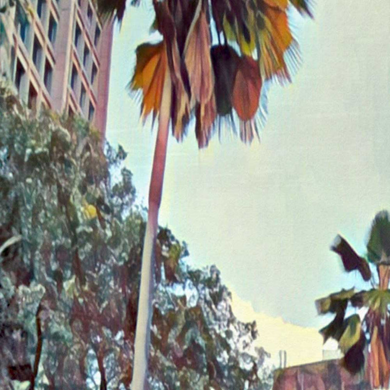 Close-up Detail of Medellin's Urban Poster Art