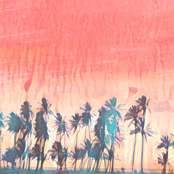 Zoomed Detail of Manzanilla Beach Trinidad Poster - Soft Focus Sunset by Alecse