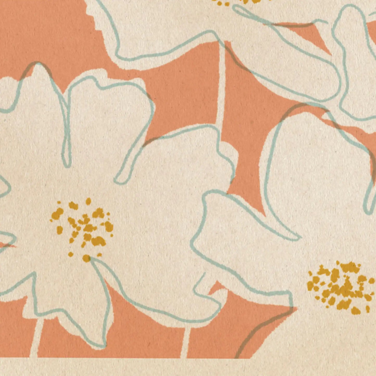cosmos flower poster detail showing white petals with soft teal outlines on warm peach background fine art paper texture
