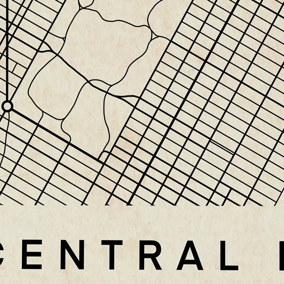 Close-up of the vintage map of Central Park, New York Poster