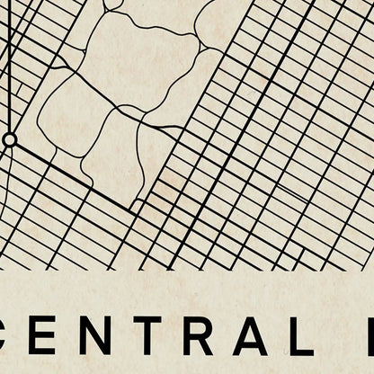 Close-up of the vintage map of Central Park, New York Poster