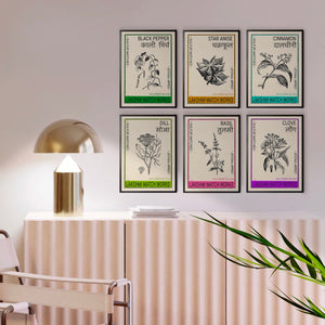 Set of six vintage Indian spice posters framed and arranged on a modern interior wall. Each poster features botanical illustrations of Black Pepper, Star Anise, Cinnamon, Dill, Basil, and Clove, inspired by retro Indian matchbox designs. Perfect for Indian vintage decor, heritage artwork, botanical wall art, and kitchen prints