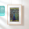 Limited edition Peacock print by Alecse | 300ex certified