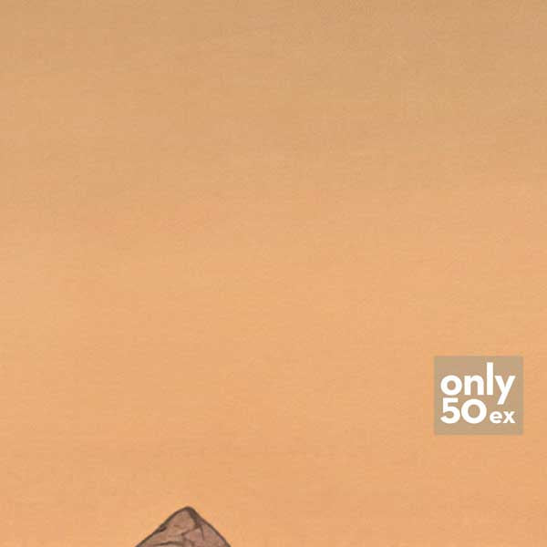Details of Nile Valley Giza Poster by Alecse
