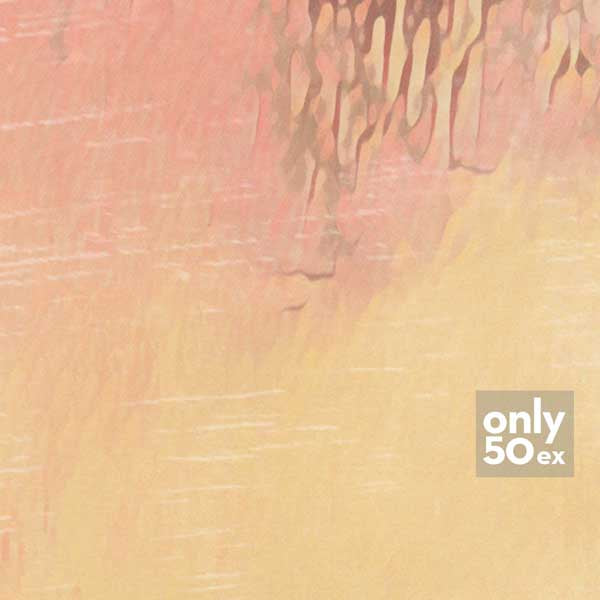 Details of the Mentawai poster by Alecse