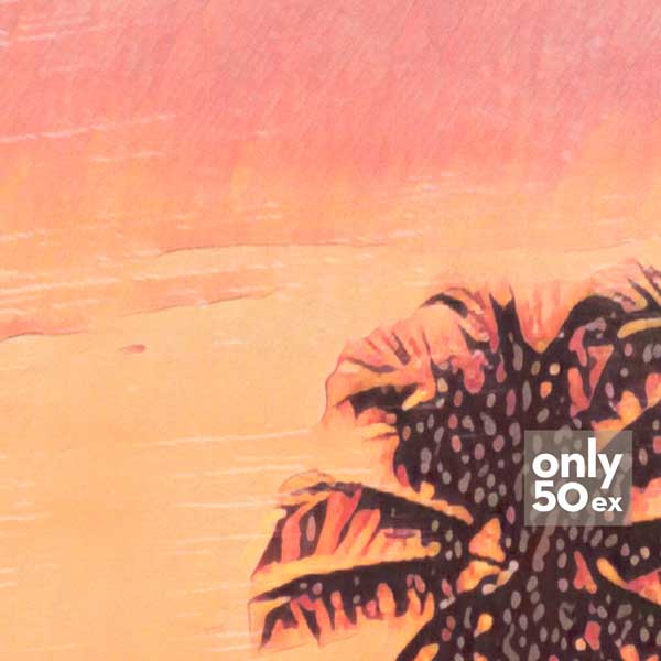 Details of Indonesia Mentawai poster