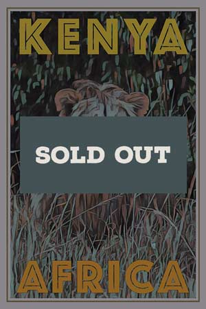 Lion Poster by Alecse - 2018 | Sold Out