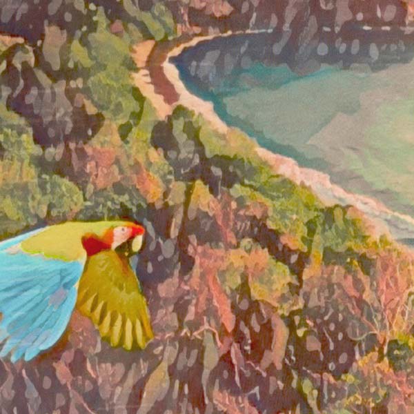 Details of the small parrot flying in Alecse's poster Pura Vida Birds, Costa Rica Travel Poster