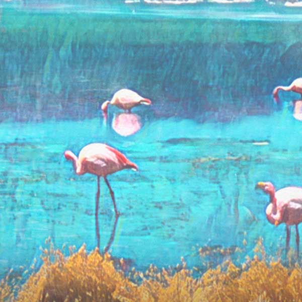 Details of the Flamingo in Alecse's Altiplano Bolivia poster