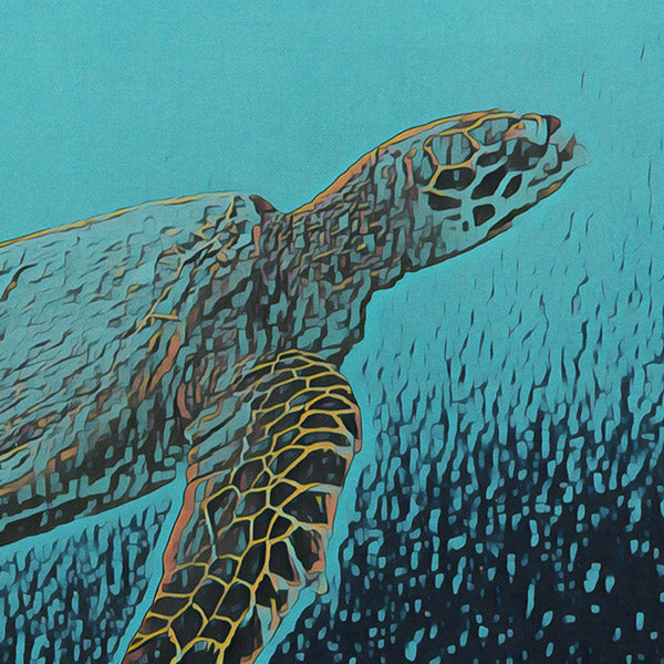 Details of the turtle in the Galapagos poster