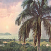 Details of the sunset behind a palm tree in the Managua poster