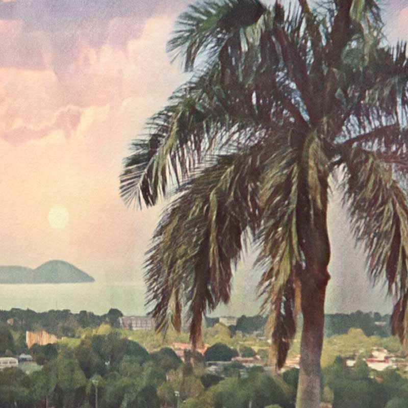 Details of the sunset behind a palm tree in the Managua poster