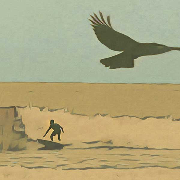 Details of the surfer and the crow, Surf poster by Alecse | Wave Hunter Collection | 300ex