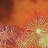 Details of Sydney poster Fireworks by Alecse