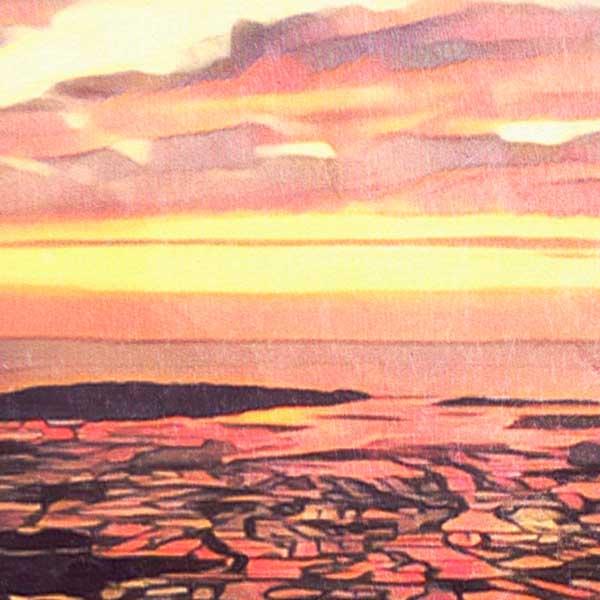 Gros plan sur les marais salants de Guérande au coucher du soleil