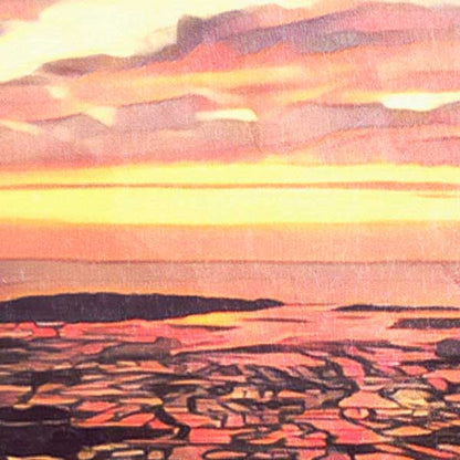 Close-up on Guerande Salt Marshes at Sunset
