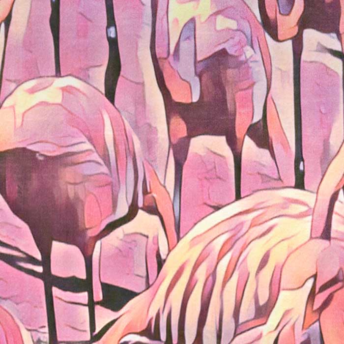 Details of the Flamingos in the Galapagos Travel Poster of Ecuador