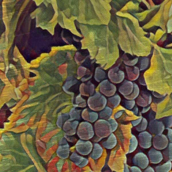 Details of the grapes in the In Vino Veritas poster