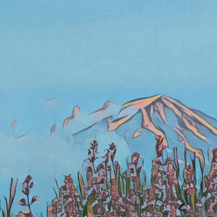 Details of the Mount Fuji in the Japan Travel Poster