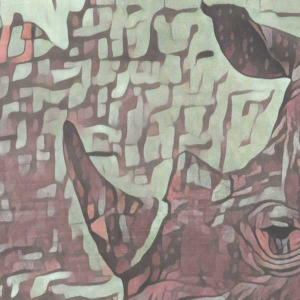 Details of the Rhino head | Kenya Safari poster by Alecse