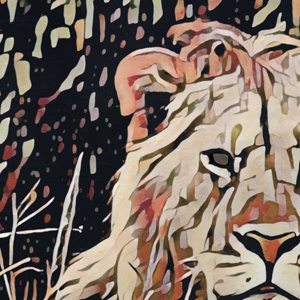 Détails de la tête de lion dans l'affiche Alecse Kenya Safari