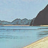 Details of the beach in the Abel Tasman National Park poster by Alecse