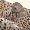 Details of Kruger Park Poster Leopard | South Africa Gallery Wall Print