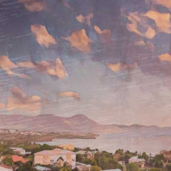 Details of the Martinique Print Sainte Luce | Antilles Classic Print